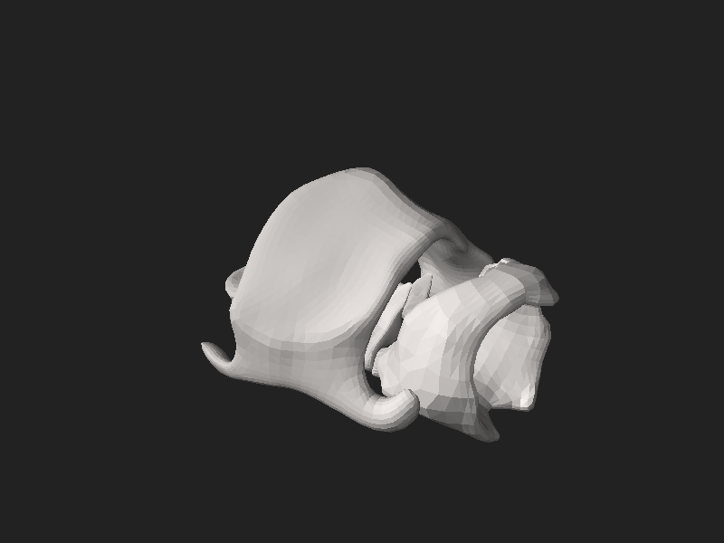 File:Vh-m-larynx.stl