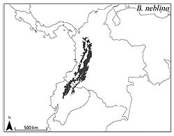 Distribución del olinguito