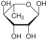 File:Alpha-L-Rhamnopyranose.svg