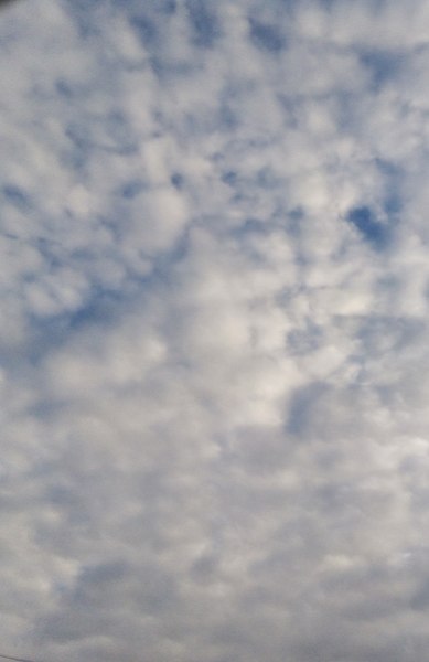 Archivo:Altocumulus clouds NL.jpg