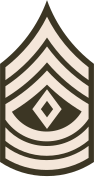 File:Army-USA-OR-08a (Army greens).svg