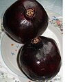 Anor e Sioh (Black Pomegranate) of Taft, Iran