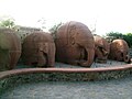 Elephants