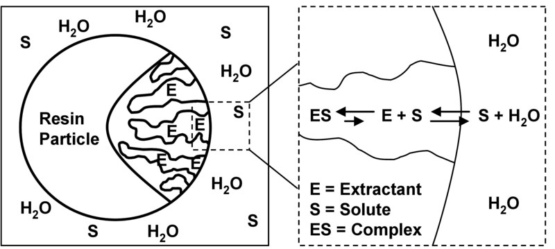 File:Fig 1 SIR principle.tif