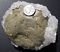 Cobble encrusted with halite evaporated from the Dead Sea near Ein Gedi