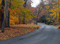 A road in Llewellyn Park