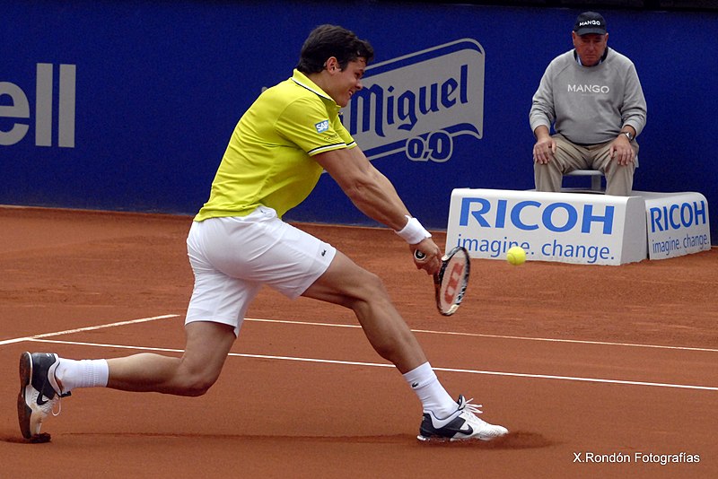 File:Milos Raonic en España.jpg