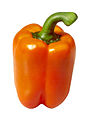 Orange bell pepper