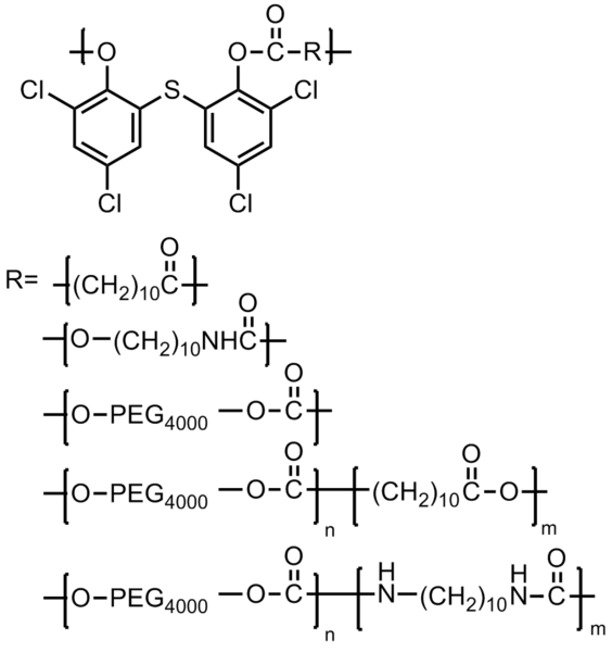 File:Rui Fig 37.png