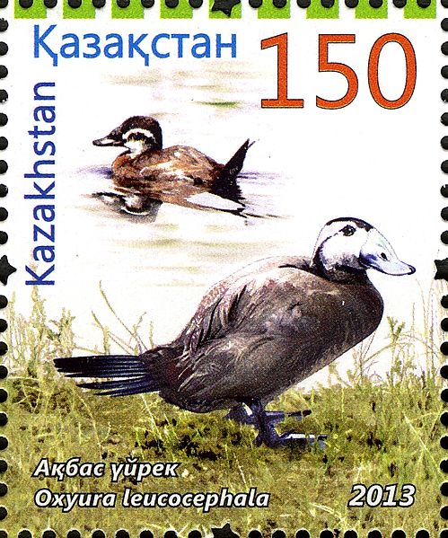 Файл:Stamps of Kazakhstan, 2013-64.jpg