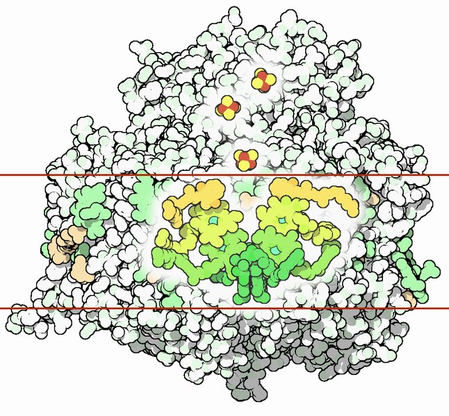 Файл:022-PhotosystemI-1jb0-etc.tiff