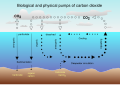 Image 32Air-sea exchange of CO2 (from Carbon dioxide in Earth's atmosphere)