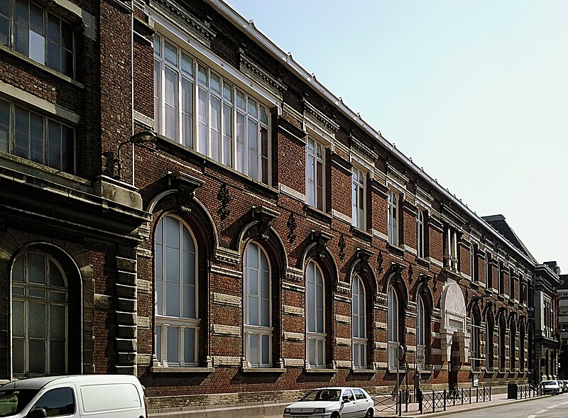 Archivo:Lille Musée histoire naturelle.jpg