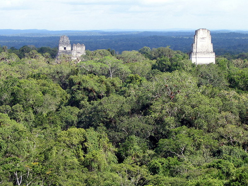 File:Tikal From Temple IV.jpg