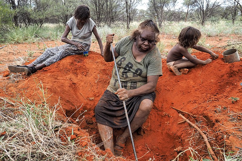 File:Yuendumu Gold 04.jpg