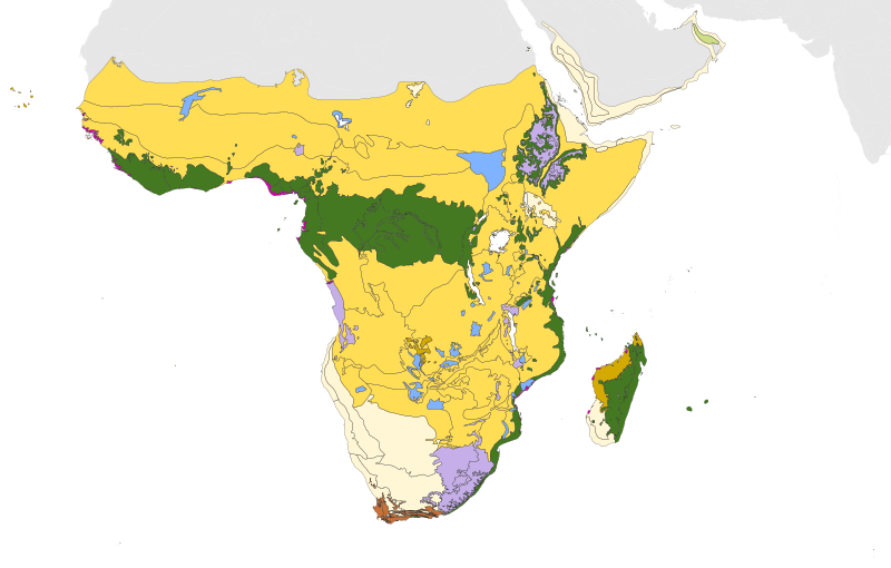 File:Afrotropical biomes.svg