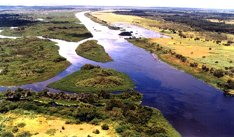 File:Kissimmee River canal section.jpg