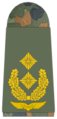 Luftwaffe (Generalmajor)