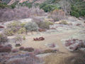 Feb 2007, as seen from site of famous "Goodbye" sign Jeep marks approximate location of camp flagpole