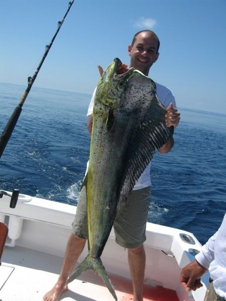 File:Mahi mahi costa rica.jpg