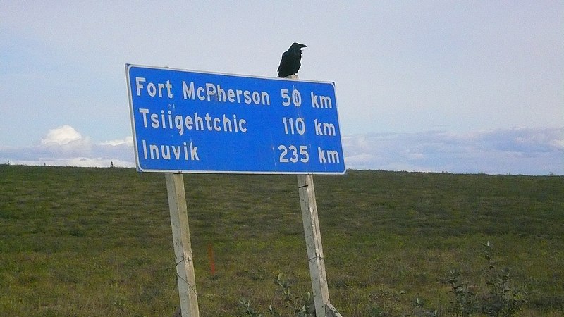 File:Raven Inuvik McPhaerson.jpg