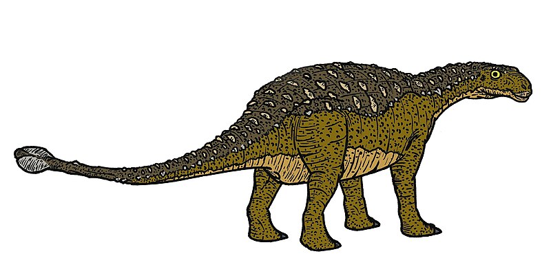 Archivo:Talarurus 4900.JPG