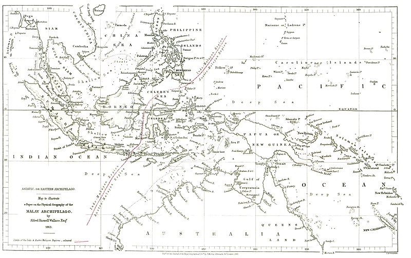 File:Wallace-line1.jpg