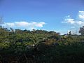 Vista de la hacienda de Xucú.