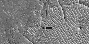 Close view of ridge networks, as seen by HiRISE under HiWish program. Arrow points to small, straight ridge. Location is Arcadia quadrangle.