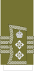 Colonel