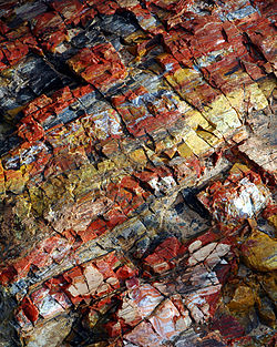 Close-up of petrified wood from Canyonlands National Park, USA