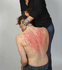 Femdom bloody back.jpg