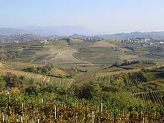 Submediterranean Slovenia: vineyards in the Gorizia Hills