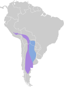 Distribución geográfica de la viudita aliblanca.