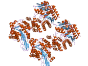 2j0f: STRUCTURAL BASIS FOR NON-COMPETITIVE PRODUCT INHIBITION IN HUMAN THYMIDINE PHOSPHORYLASE: IMPLICATION FOR DRUG DESIGN