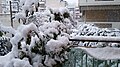 Snow in the Sepolia district in Athens