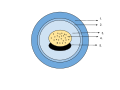 Amphibian Egg: 1. Jelly Capsule 2. Vitelline Membrane 3. Perivitelline Fluid 4. Yolk Plug 5. Embryo The jelly capsule is designed to protect the embryo from the outside environment. This capsule also prevents the egg from drying out. The vitelline membrane is a membrane surrounding the egg. Upon fertilization, this membrane splits off from the surface of the egg and the space between the vitelline membrane and the embryo is filled with perivitelline fluid. This fluid surrounds the embryo and yolk plug. The yolk plug nourishes the embryo and indicates that the embryo is near the end of gastrulation.