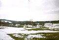 Sheep on a Balbeg, Glenurquart farm during the winter of 1996.