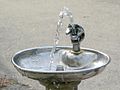 A typical modern drinking fountain