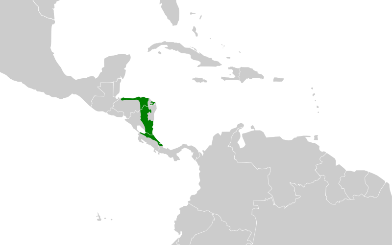 File:Carpodectes nitidus map.svg