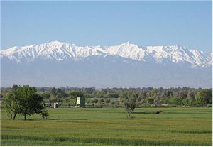 Khogyani District, looking south