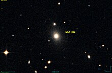 NGC 1284 DSS.jpg