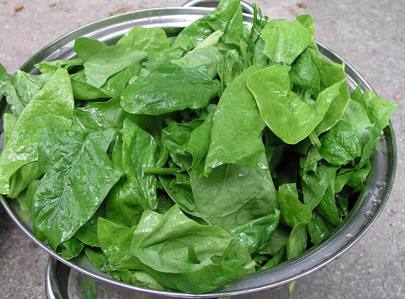 File:Spinach leaves.jpg