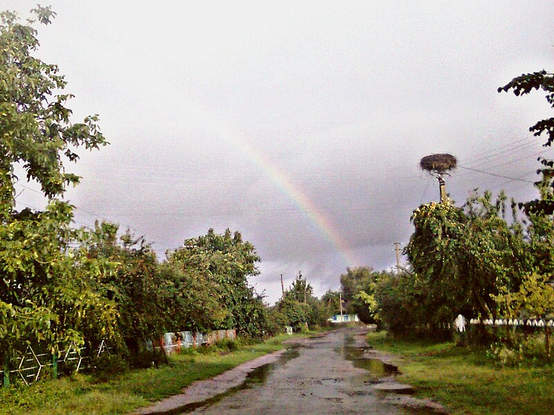 Файл:Volodymyr street Shvets.jpg