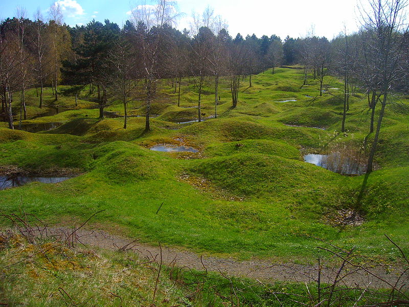 Archivo:Battelfield Verdun.JPG