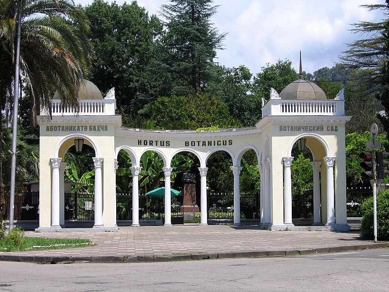 File:Botanical garden.Sukhum.jpg