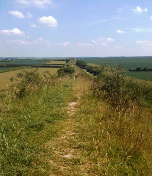 Archivo:Devil's Dyke Cambs.jpg