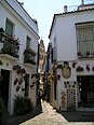 Calleja de las flores.