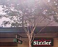 Sign for Sizzler at The Myer Centre (photo taken at Elizabeth Street in Brisbane, Queensland, Australia)