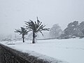 Image 37Torquay sea front during Storm Emma – March 2018 (from Devon)